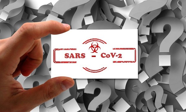 SARS CoV2 respondeo